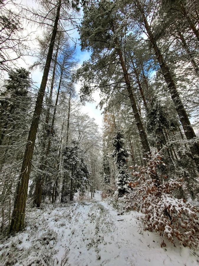 Jaskowe Wzgorze Na Wynajem Szymbark, Balia, Nr 2 I 3 Villa Szymbark (Pomerania)