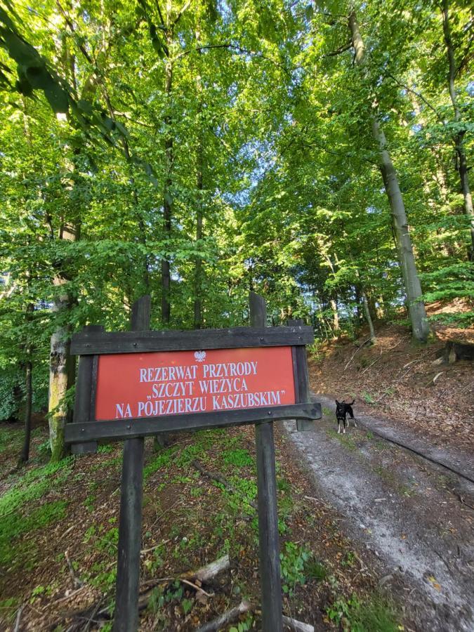 Jaskowe Wzgorze Na Wynajem Szymbark, Balia, Nr 2 I 3 Villa